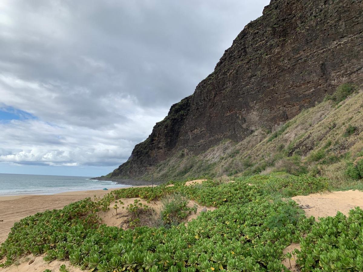 Honu'Ea International Hostel Kauai Kapa'a Eksteriør bilde