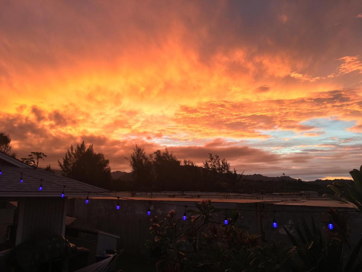 Honu'Ea International Hostel Kauai Kapa'a Eksteriør bilde